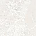 Coconut White