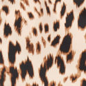 Champagne Leopard