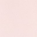 Ballet Pink